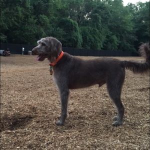 Meet your Posher, Jill